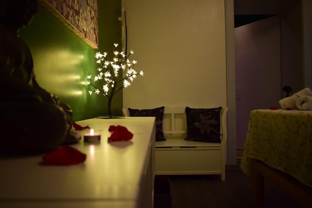 Bali SPA Massage, Skadarska 1, Beograd