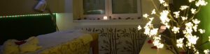 Bali SPA massage